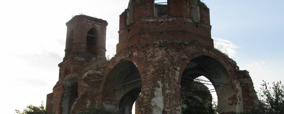 
            Фотография Мерлинки