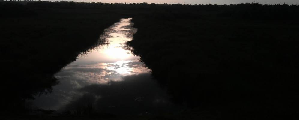 
            Фотография Любчи