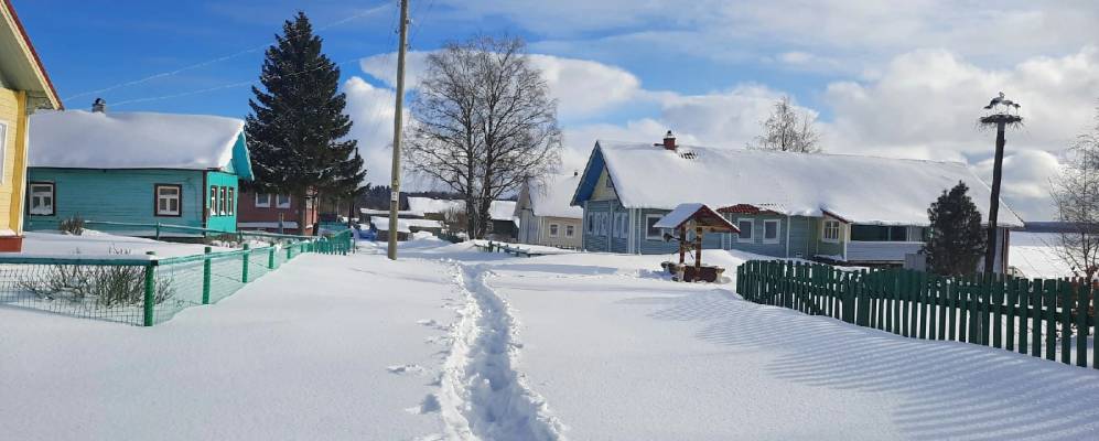 
            Фотография Коноксы