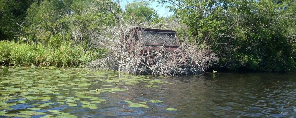 
            Фотография Калвертона