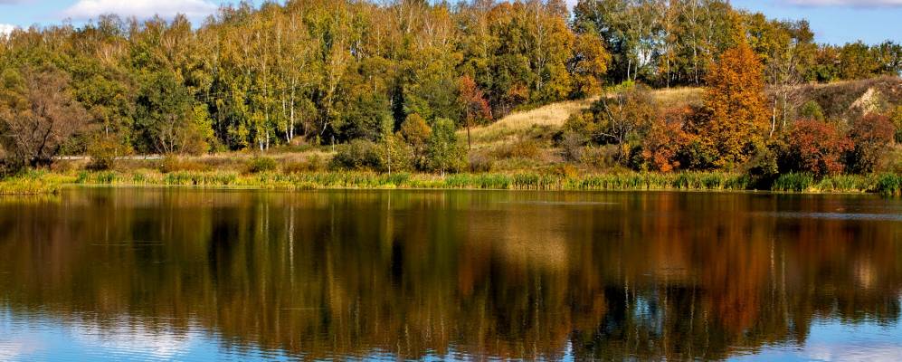 
            Фотография Бежина Луга