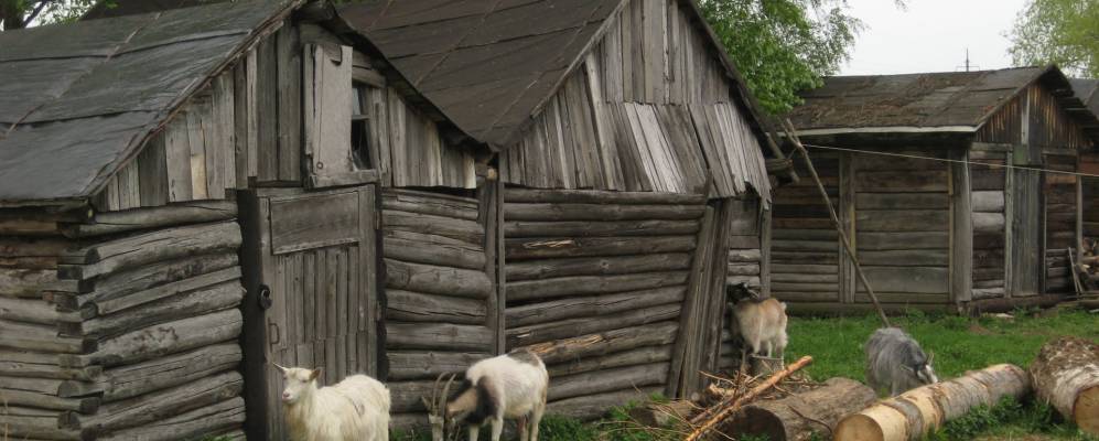 Фотография Люторецкого