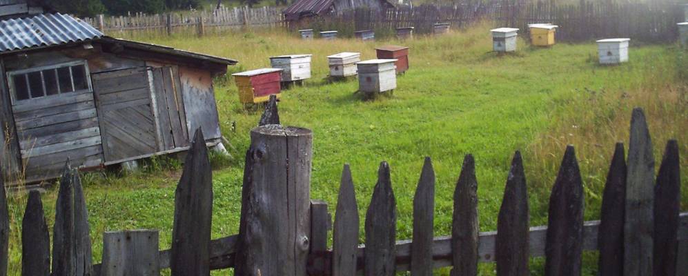 
            Фотография Обманки Первой