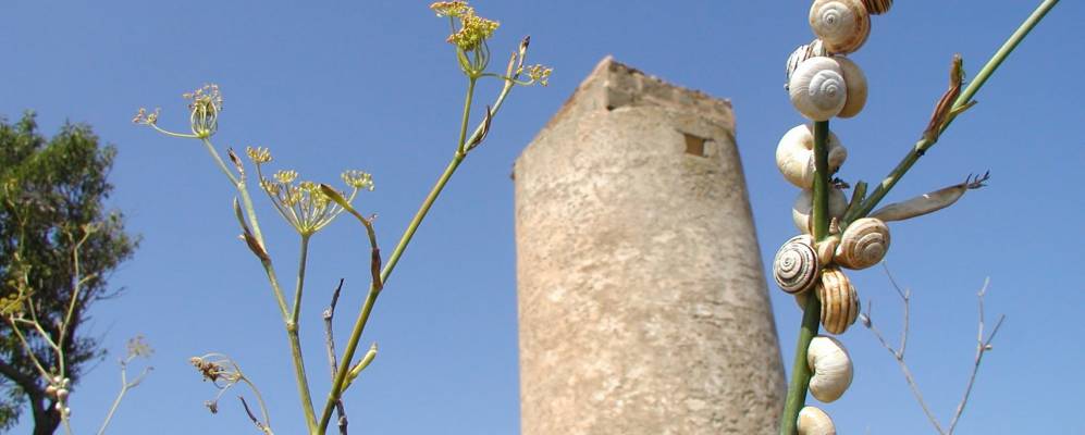 
            Фотография Санта-Маргариты