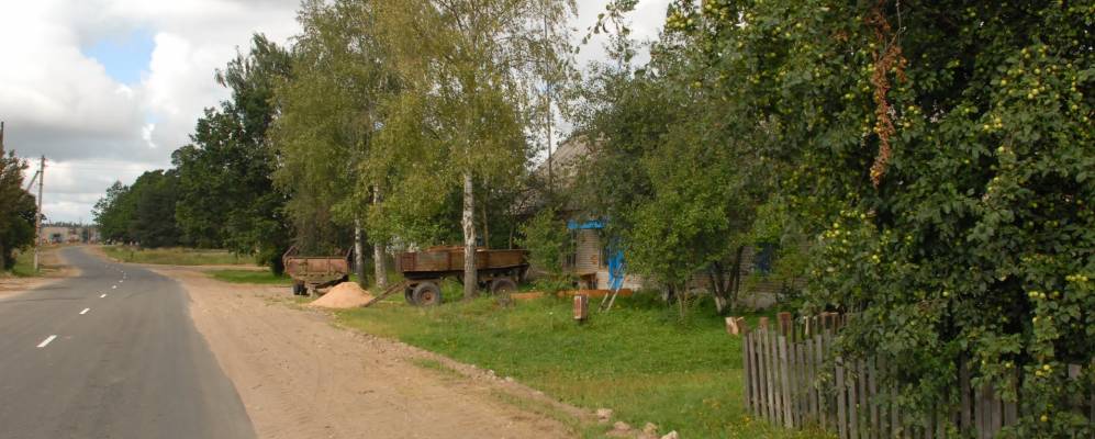 
            Фотография Барсуков