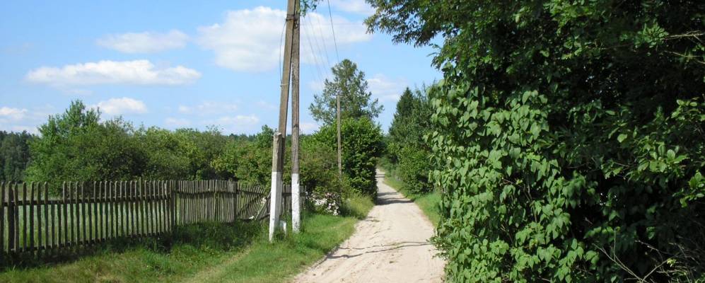 
            Фотография Червоный Бора