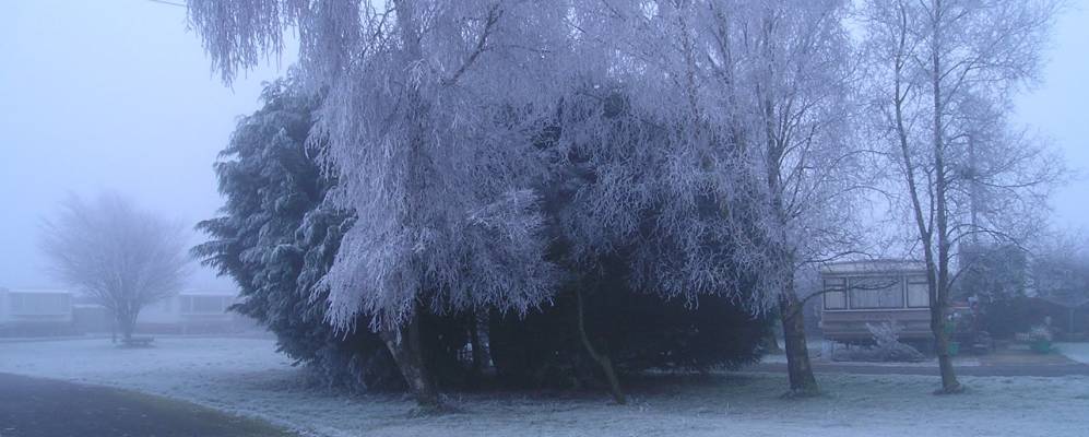 
            Фотография Сайллота