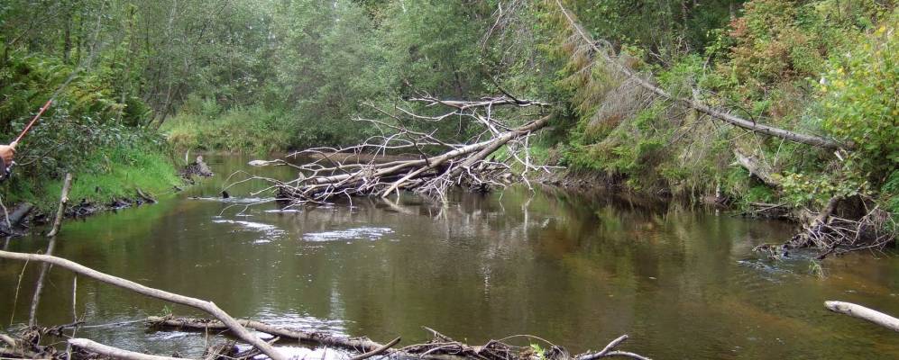 
            Фотография Хоружево