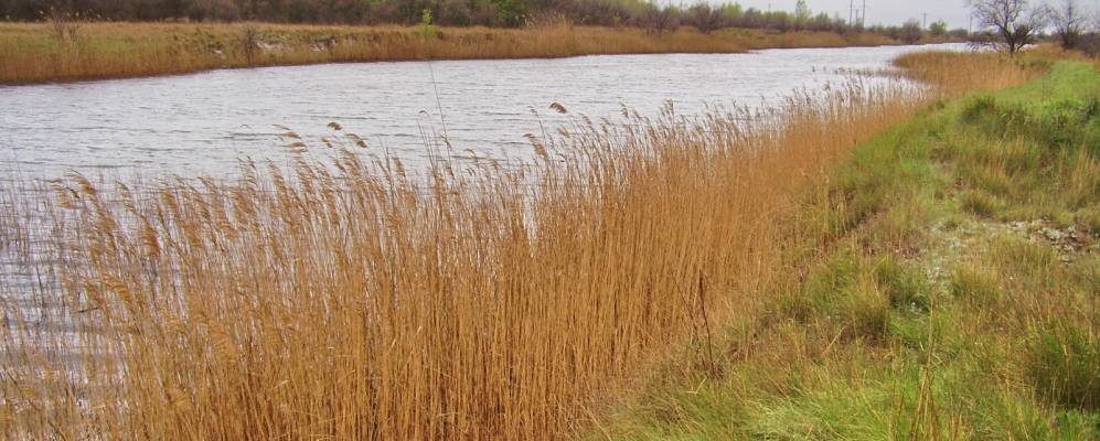 
            Фотография Нижней Жужмановки