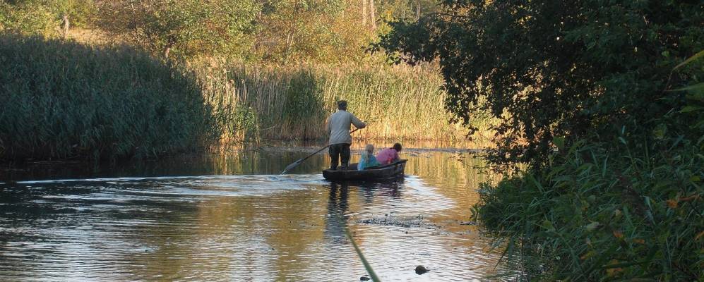 
            Фотография Горки