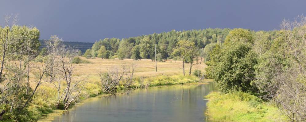 Фотография Плясунихи