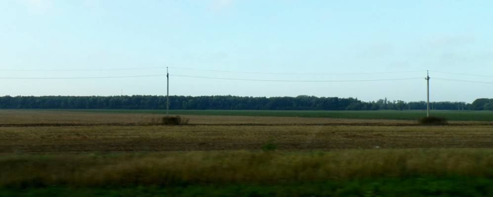 
            Фотография Мичуринского