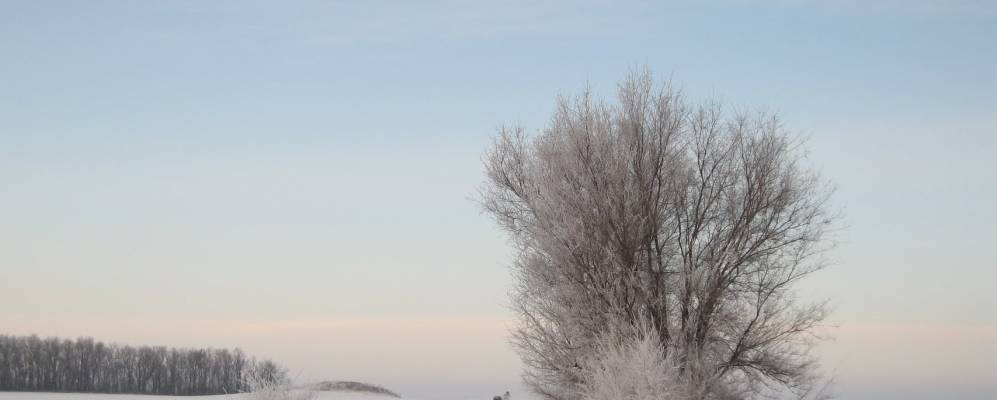 
            Фотография Стоянова