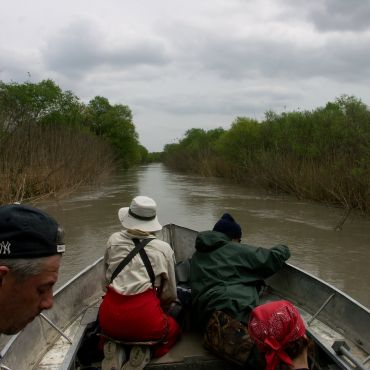 Кардоновка