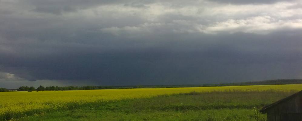 
            Фотография Половицы