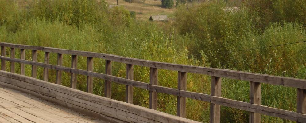 Фотография Сваино