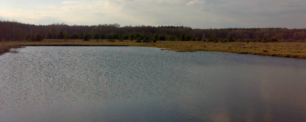 
            Фотография Шиловичи