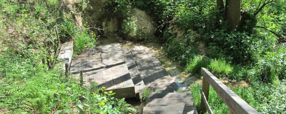 
            Фотография Клевина