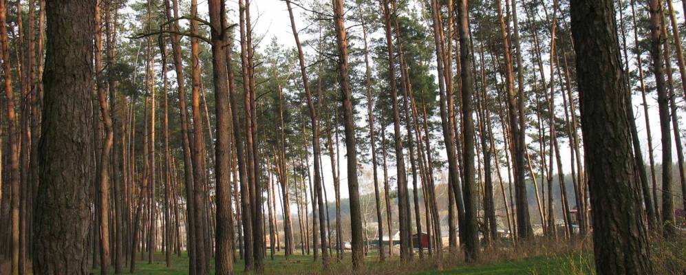 
            Фотография Иванкова