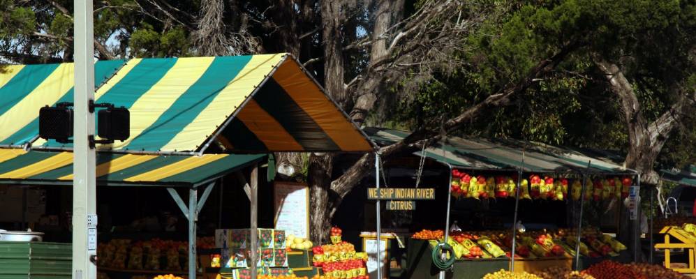 
            Фотография Хомозасса Спрингса