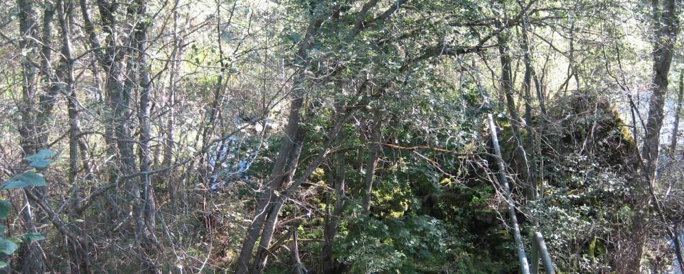 
            Фотография Шуговиц