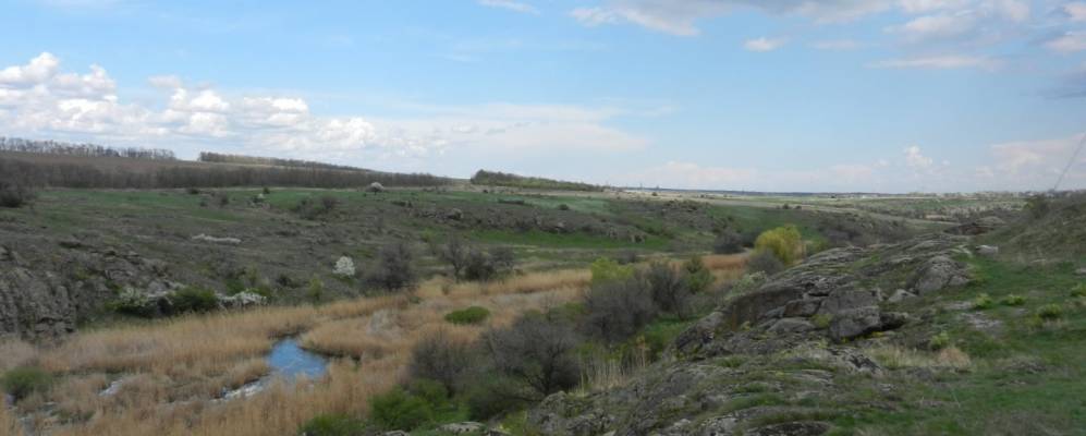 
            Фотография Токовского