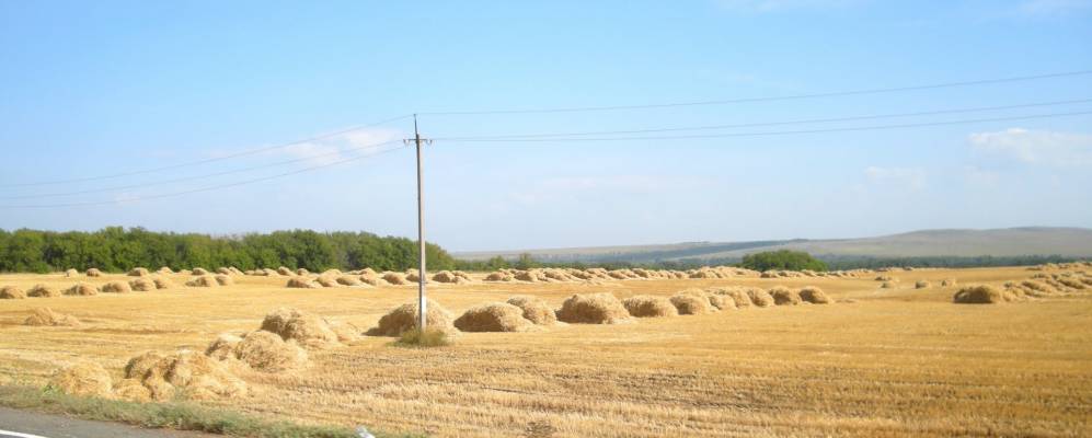 
            Фотография Надеждинки