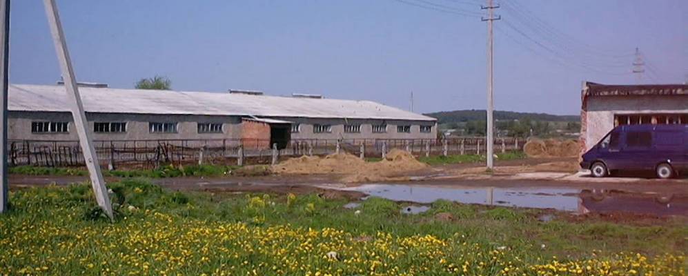 
            Фотография Василево