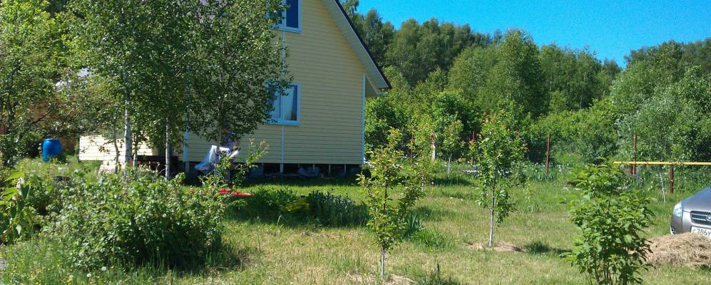 
            Фотография Дубачино