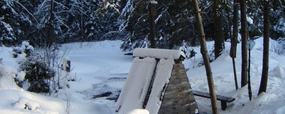 
            Фотография Деревнищ