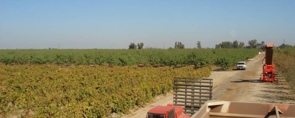 
            Фотография Каратэрса