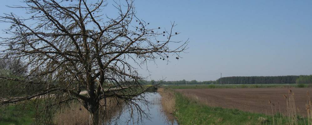 
            Фотография Морможево