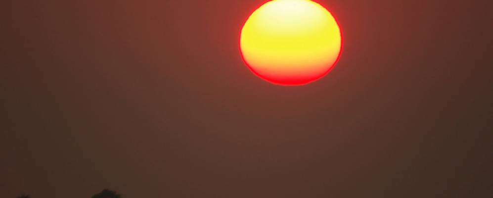 
            Фотография Бугристого