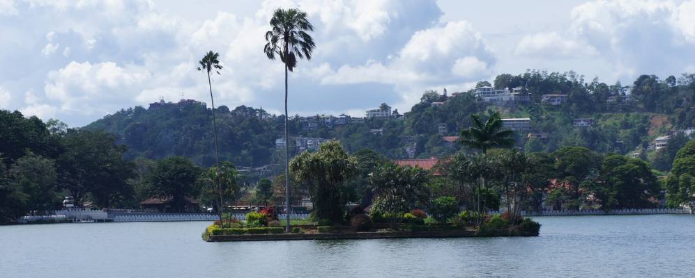 
            Фотография Канди