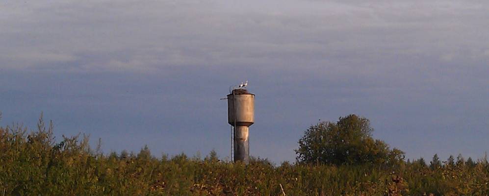 Фотография Борисново