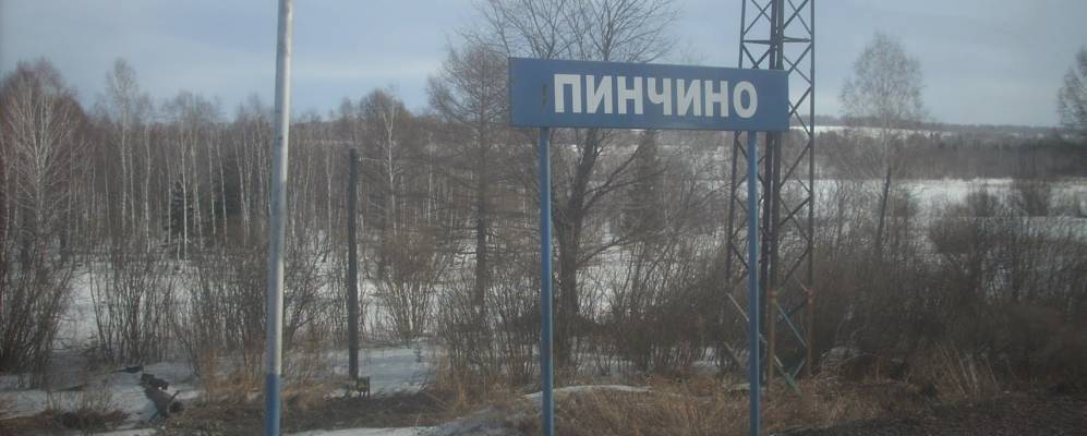 
            Фотография Пинчино