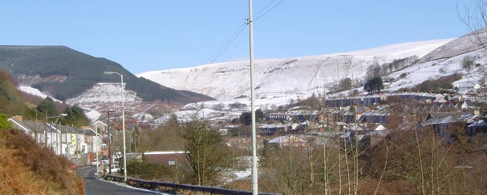 
            Фотография Понтикимера