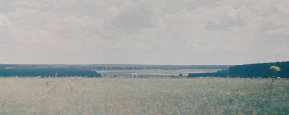 
            Фотография Ужовки