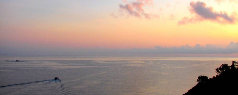 
            Фотография Сербера