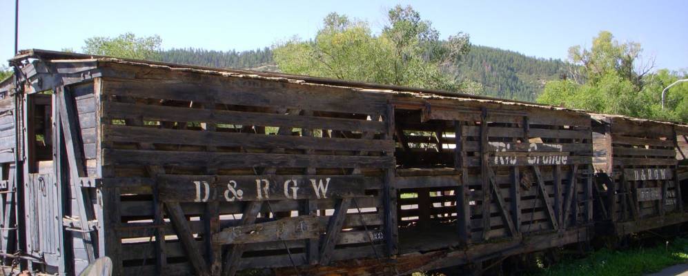 
            Фотография Далса