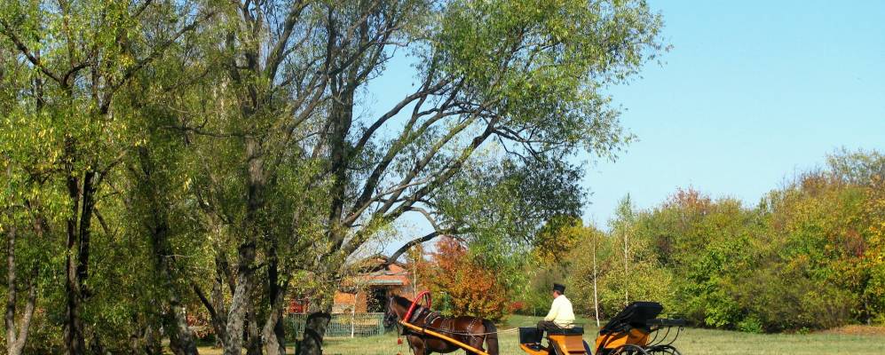 
            Фотография Калдуссов