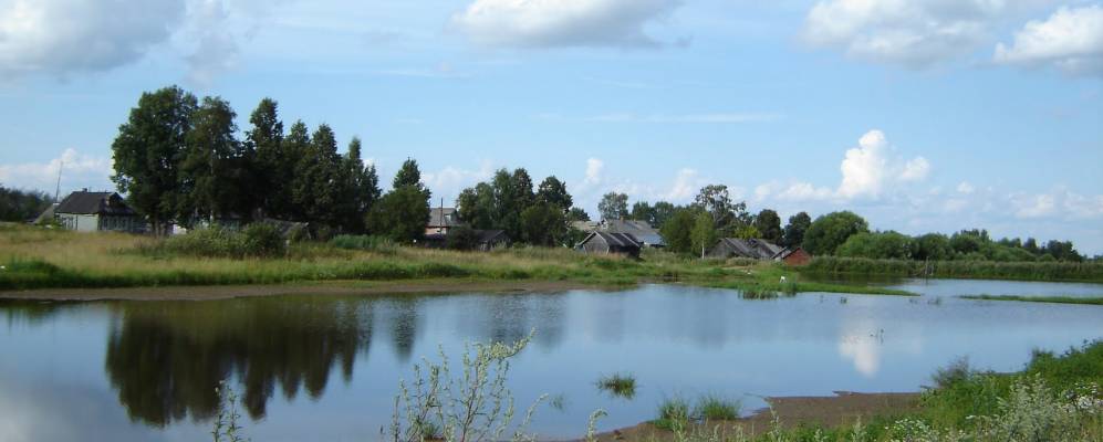 
            Фотография Плоского