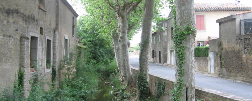 
            Фотография Вильгайанка