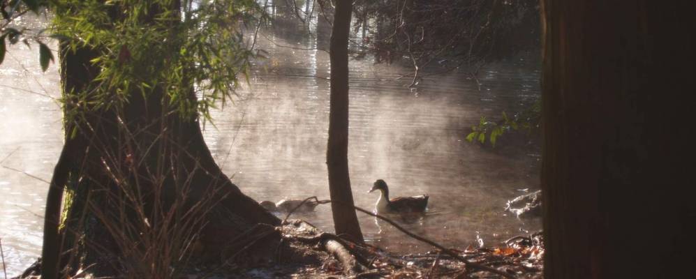 
            Фотография Визелу