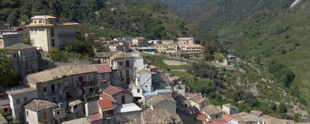 Фотография Гроттерии