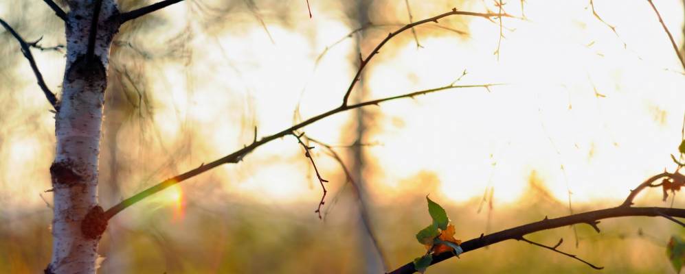 Фотография Топкого