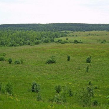 Большие Кулики