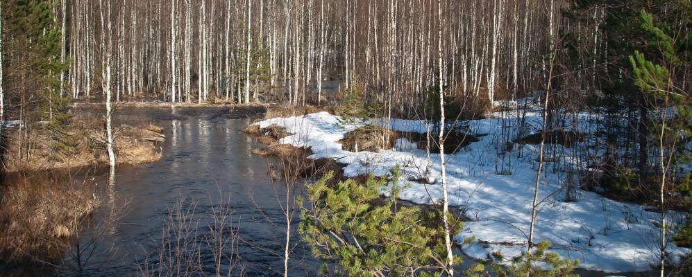 
            Фотография Медвежки