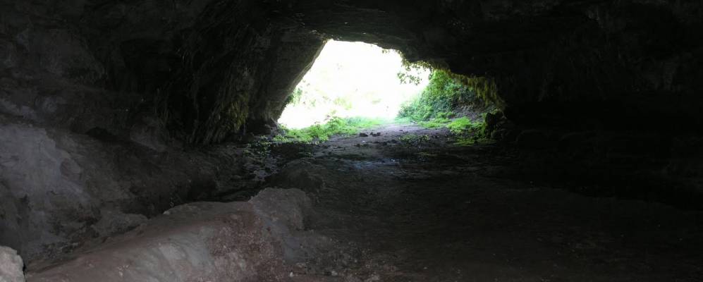 Фотография Филандари