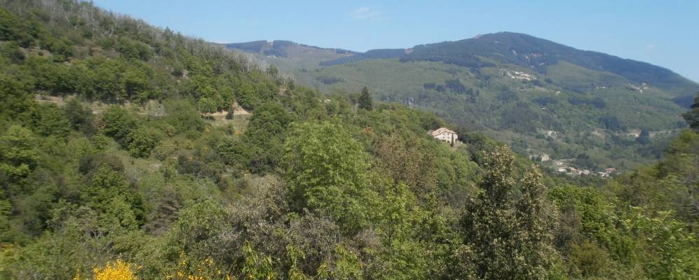 
            Фотография Широль